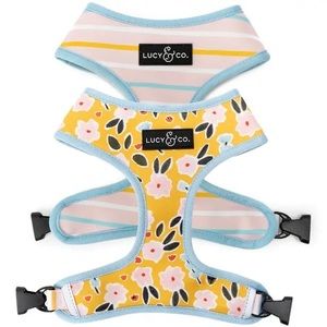 Lucy and co Little lamb harness